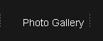 Gallery of Photos